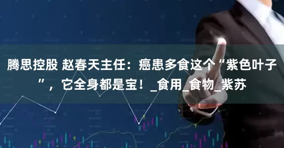 腾思控股 赵春天主任：癌患多食这个“紫色叶子”，它全身都是宝！_食用_食物_紫苏