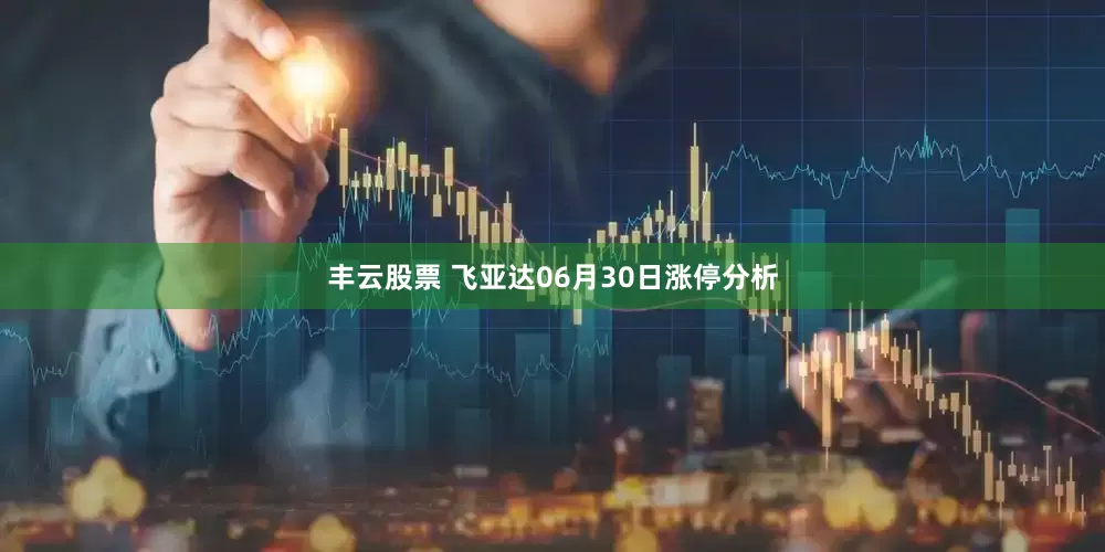 丰云股票 飞亚达06月30日涨停分析