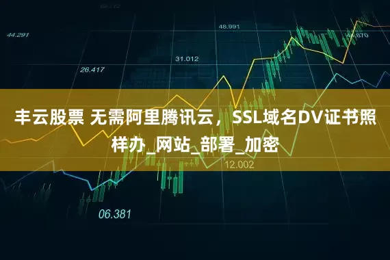 丰云股票 无需阿里腾讯云，SSL域名DV证书照样办_网站_部署_加密