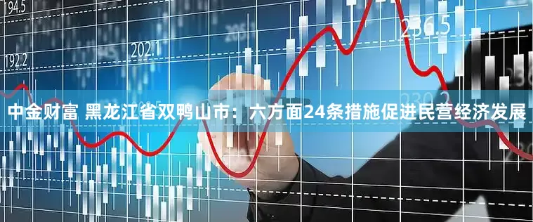 中金财富 黑龙江省双鸭山市：六方面24条措施促进民营经济发展
