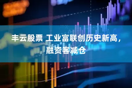 丰云股票 工业富联创历史新高，融资客减仓