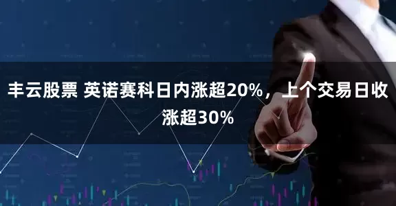 丰云股票 英诺赛科日内涨超20%，上个交易日收涨超30%