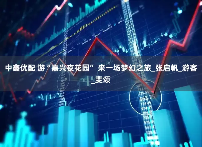 中鑫优配 游“嘉兴夜花园” 来一场梦幻之旅_张启帆_游客_斐颂